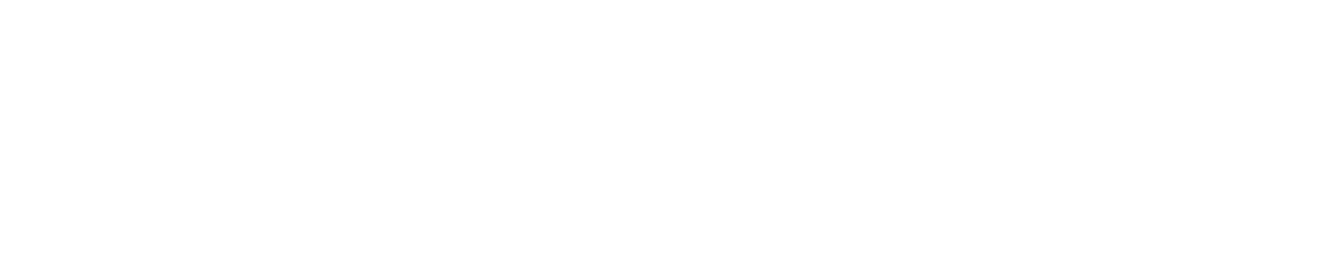 Bothgrafik Logo